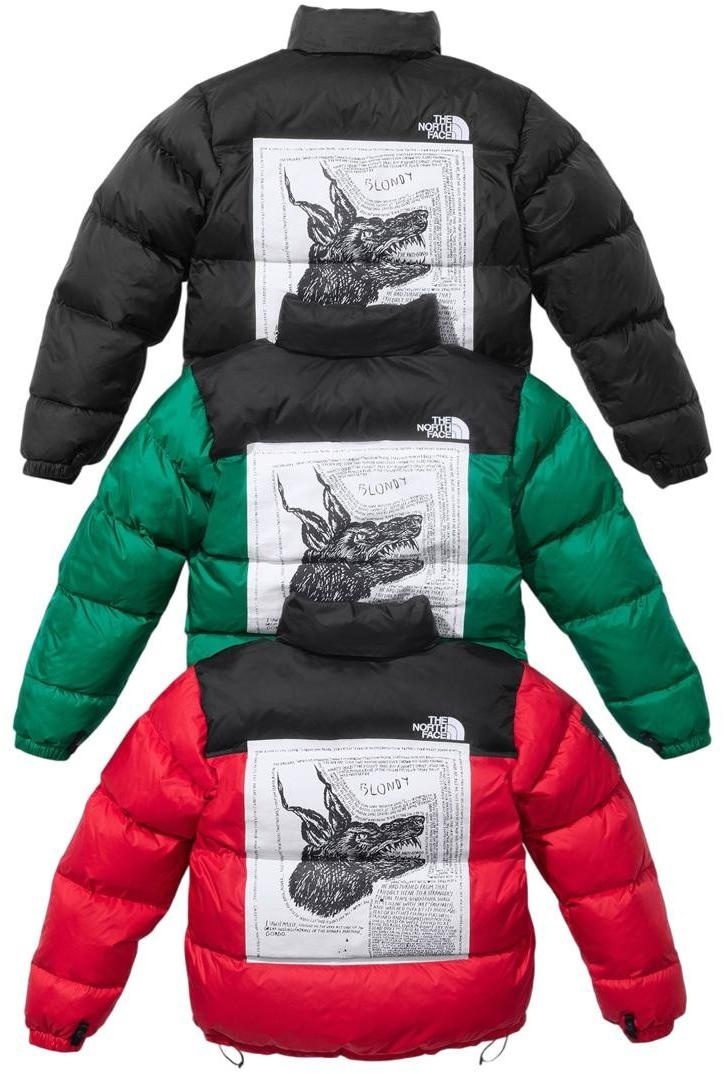 Supreme®/The North Face® Nuptse Jacket